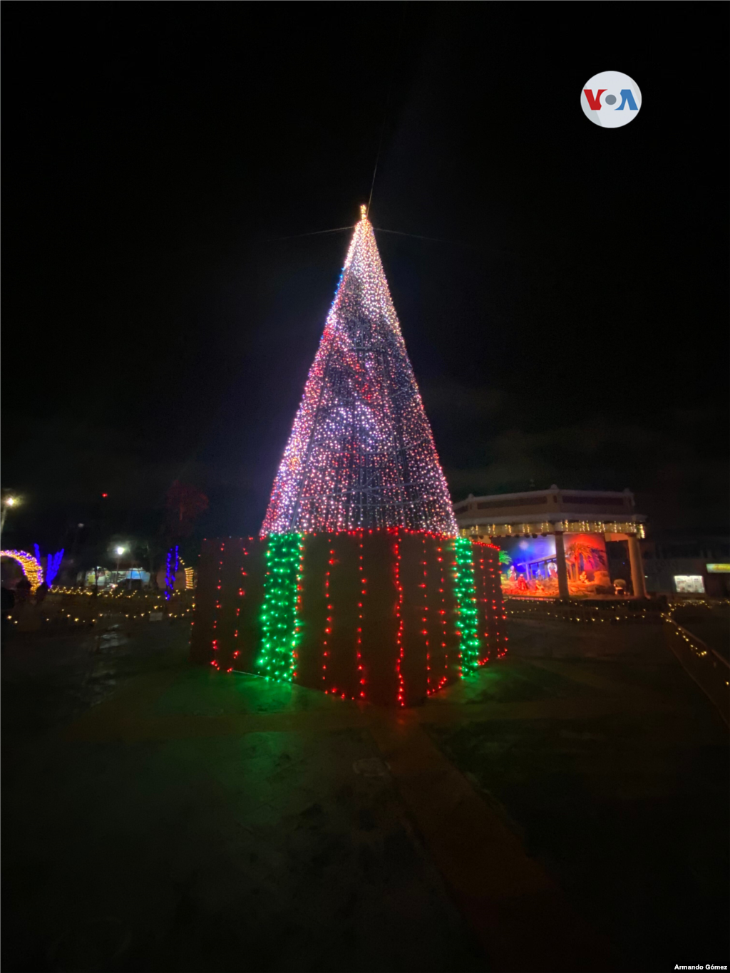El &#225;rbol de Navidad ha sido una tradici&#243;n adoptada por muchos pa&#237;ses centroamericanos y Costa Rica no es la excepci&#243;n. Foto Armando G&#243;mez/VOA.