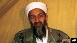 Osama bin Laden en Afganistán.
