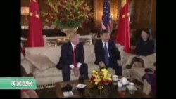 VOA连线：华人川粉：武力解决朝核问题我会支持！