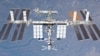 Cultivan embriones de ratones en la Estación Espacial Internacional