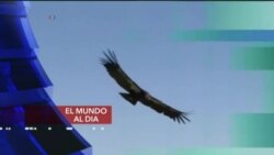 El Mundo al día