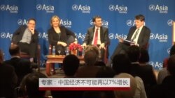 美专家：中国经济不可能再以7%增长